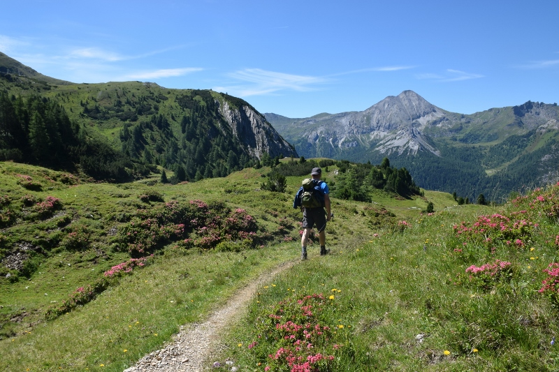 Almrausch-Wanderung